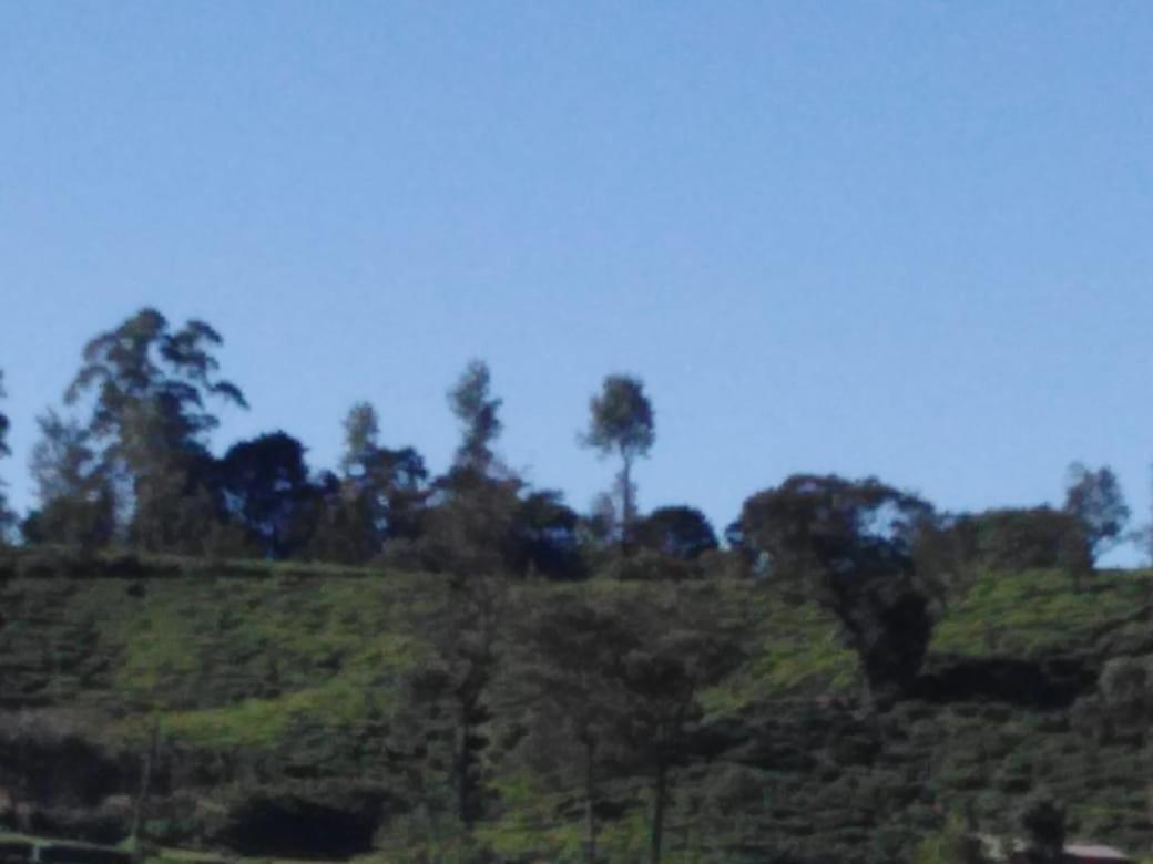 Frosty Heaven Guest House Nuwara Eliya Exteriör bild