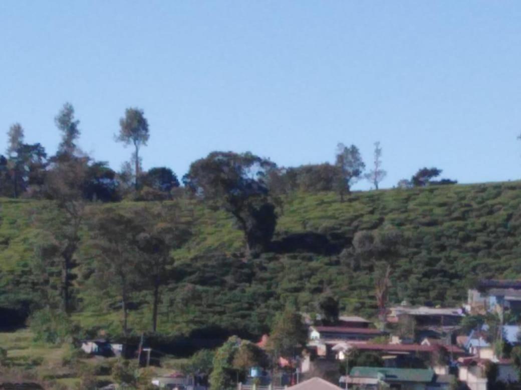 Frosty Heaven Guest House Nuwara Eliya Exteriör bild
